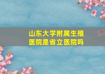 山东大学附属生殖医院是省立医院吗