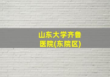 山东大学齐鲁医院(东院区)