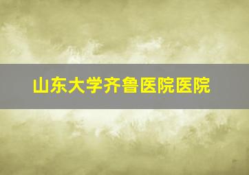 山东大学齐鲁医院医院