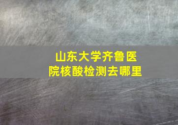 山东大学齐鲁医院核酸检测去哪里