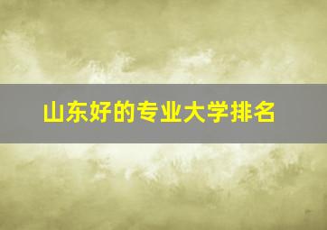 山东好的专业大学排名