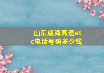 山东威海高速etc电话号码多少钱