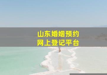 山东婚姻预约网上登记平台