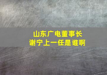 山东广电董事长谢宁上一任是谁啊