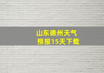 山东德州天气预报15天下载