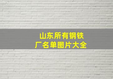 山东所有钢铁厂名单图片大全