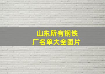 山东所有钢铁厂名单大全图片