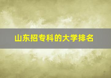 山东招专科的大学排名