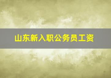 山东新入职公务员工资