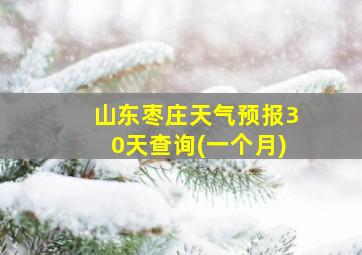 山东枣庄天气预报30天查询(一个月)