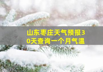 山东枣庄天气预报30天查询一个月气温