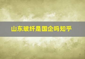 山东玻纤是国企吗知乎