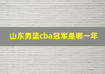 山东男篮cba冠军是哪一年