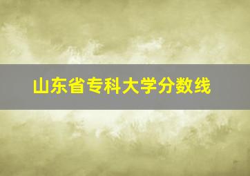 山东省专科大学分数线