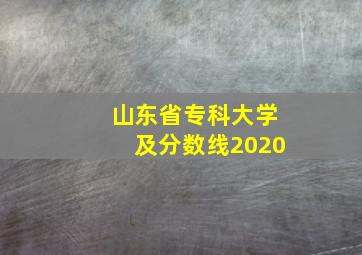 山东省专科大学及分数线2020