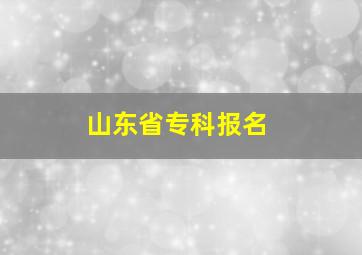 山东省专科报名