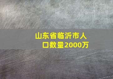 山东省临沂市人口数量2000万