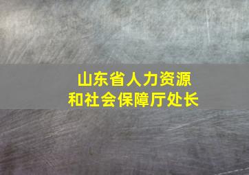 山东省人力资源和社会保障厅处长