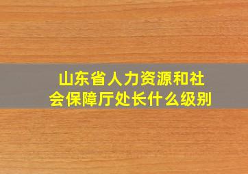 山东省人力资源和社会保障厅处长什么级别