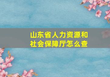 山东省人力资源和社会保障厅怎么查