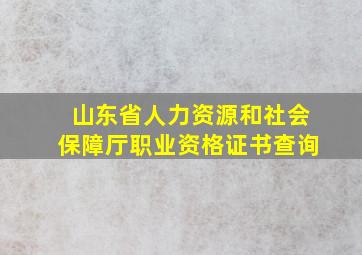 山东省人力资源和社会保障厅职业资格证书查询