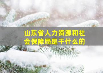 山东省人力资源和社会保障局是干什么的