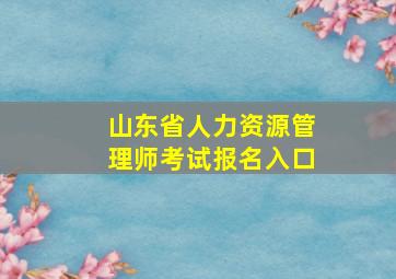 山东省人力资源管理师考试报名入口