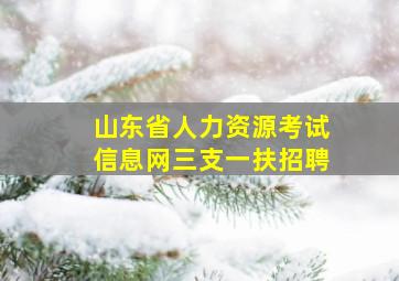 山东省人力资源考试信息网三支一扶招聘