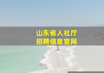 山东省人社厅招聘信息官网