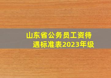 山东省公务员工资待遇标准表2023年级