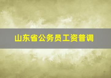 山东省公务员工资普调