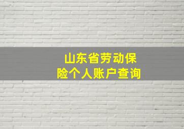 山东省劳动保险个人账户查询