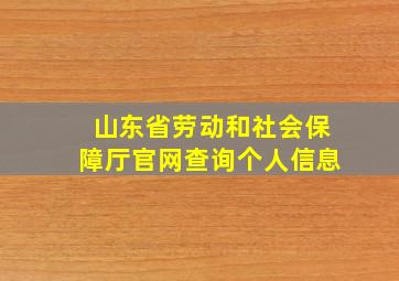 山东省劳动和社会保障厅官网查询个人信息