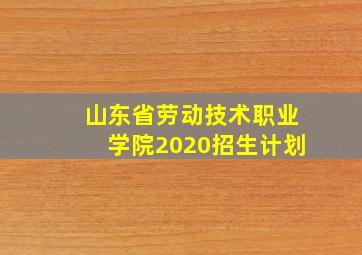 山东省劳动技术职业学院2020招生计划