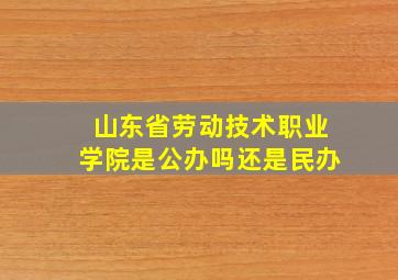 山东省劳动技术职业学院是公办吗还是民办