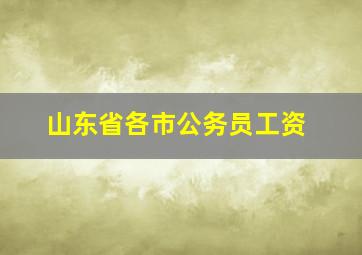 山东省各市公务员工资