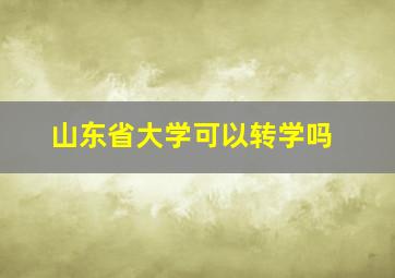 山东省大学可以转学吗