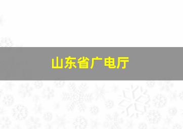 山东省广电厅