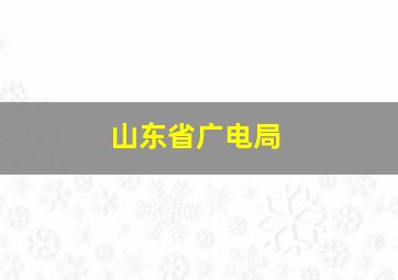 山东省广电局