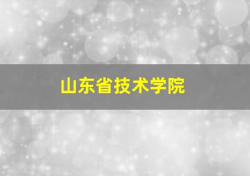 山东省技术学院