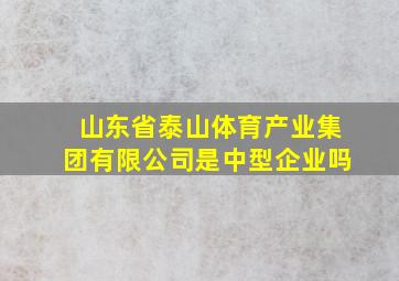 山东省泰山体育产业集团有限公司是中型企业吗