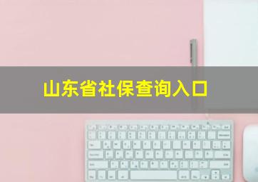 山东省社保查询入口