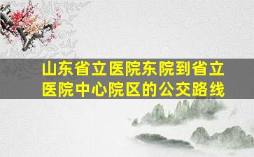 山东省立医院东院到省立医院中心院区的公交路线