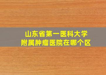 山东省第一医科大学附属肿瘤医院在哪个区