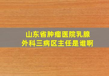 山东省肿瘤医院乳腺外科三病区主任是谁啊