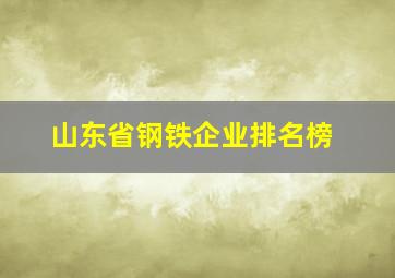 山东省钢铁企业排名榜