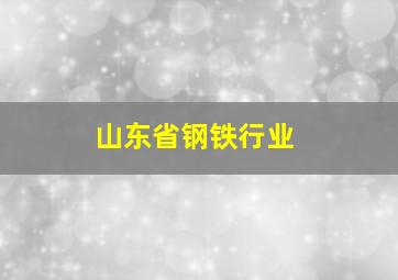 山东省钢铁行业