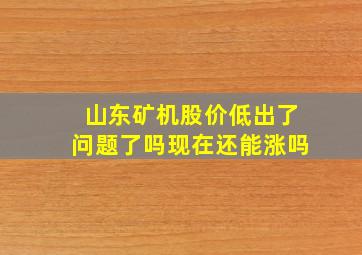 山东矿机股价低出了问题了吗现在还能涨吗