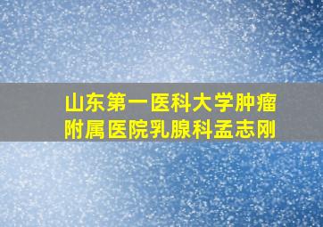 山东第一医科大学肿瘤附属医院乳腺科孟志刚