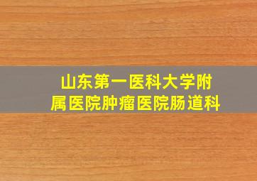 山东第一医科大学附属医院肿瘤医院肠道科